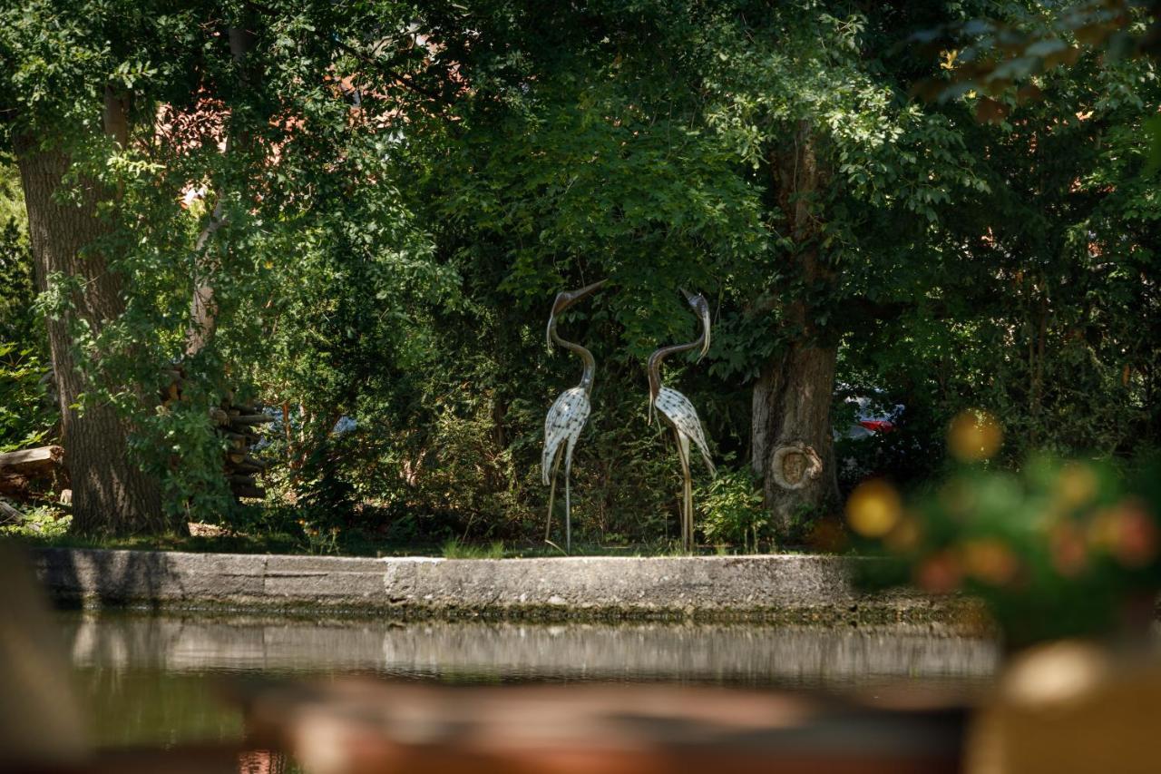 Luxus Hotel Design Villa Ottilienruh Ilsenburg Im Harz Bagian luar foto